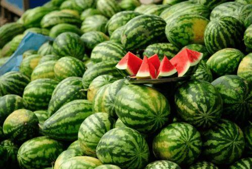 善堂网红吃瓜视频,善堂网红视频背后的故事