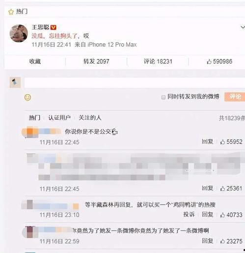西藏网红吃瓜聊天记录,揭秘幕后故事与趣味瞬间