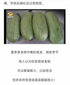 网红吃白瓜酸,酸爽滋味引网友热议