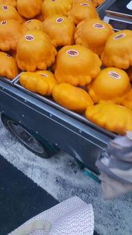 青岛小网红戈优吃瓜视频