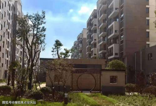 718娱乐吃瓜新地址,吃瓜群众的新聚集地